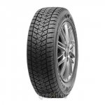 Bridgestone Blizzak DM-V2